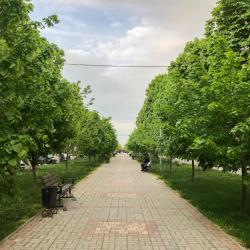 Фото Отель Твой Дом