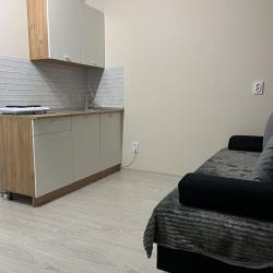 1-комнатные апартаменты студия