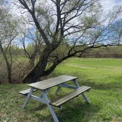 Фото Отель Лес и Луга