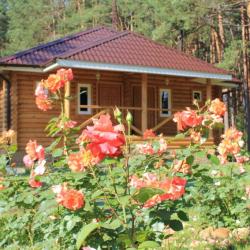 Фото Отель Княжья речка