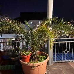 Фото Отель Аэлита