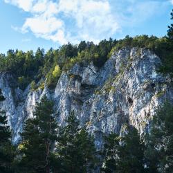 Фото Отель Grand Chalet Altay ZONT Hotel Group (Гранд Шале Алтай)