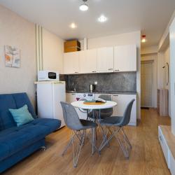 Апартаменты студия с диваном №3