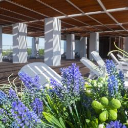 Фото Отель Volleygrad Sports & Health Resort (Волейград Спортс & Хэлс Резорт)