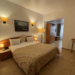 Номер стандарт семейный с 1 двуспальной кроватью