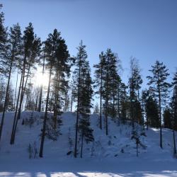 Фото Отель Берлога