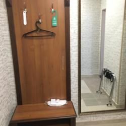 Номер полулюкс улучшенный с 1 двуспальной кроватью (с завтраком) #209