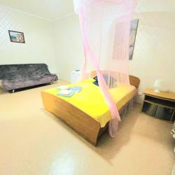 Фото Апартаменты на улице Некрасова 66