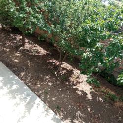 Фото Отель Arbuz (Арбуз)