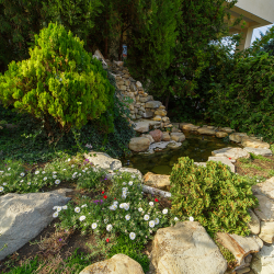 Фото Отель Санаторий Надежда