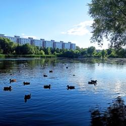 Фото Апартаменты на улице Чуйкова 31