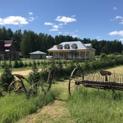 Фото Отель Усадьба Родное