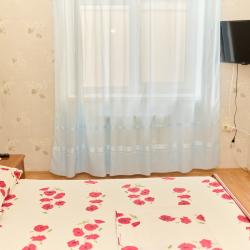 Комната стандарт с 1 двуспальной кроватью (общие удобства)