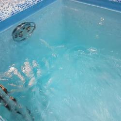 Фото Отель Рябинка