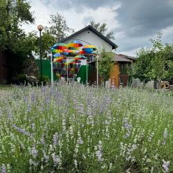 Фото Отель Отдых у реки