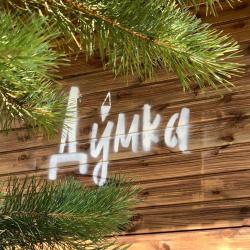 Фото Отель Думка