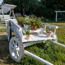 Фото Отель Сокол