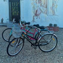 Фото Отель Villa boutique Hotel (Вилла бутик)