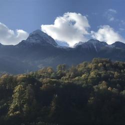 Апартаменты люкс Апартаменты Люкс