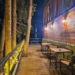 Фото Апарт-отель Les (Лес)