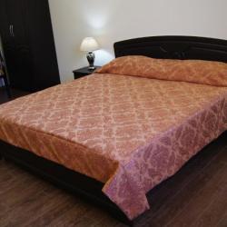 Фото Отель Арарат