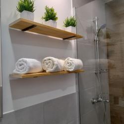 1-комнатные апартаменты студия Вознесенская 3а/17