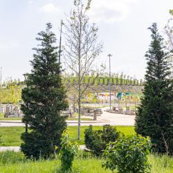 Фото Апартаменты на улице Генерала Трошева 11