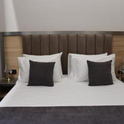 Фото Orion ApartHotel (Орион Апартотель)