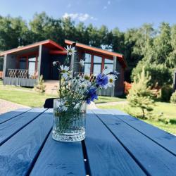 Фото Отель Ruza River Club (Руза Ривер Клаб)