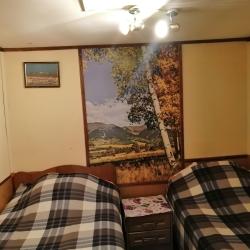 Комната Летняя с 2 односпальными кроватями