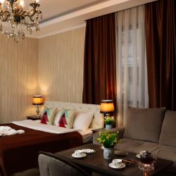 Номер делюкс с 1 двуспальной кроватью