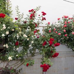 Фото Отель Антипов