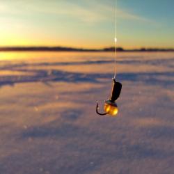 Фото Отель Гостевой дом Брейтово