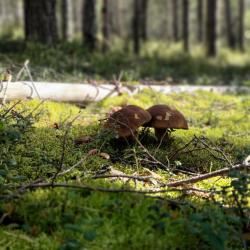 Фото Отель Дом на Береговой