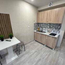 Фото Апартаменты на улице Васнецова 24