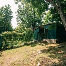 Фото Отель Дома в лесу