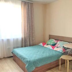 Фото Апартаменты на улице Бориса Видяева 14