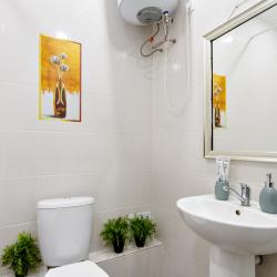 Фото Апартаменты Брусника54 на Красном проспекте 167/4