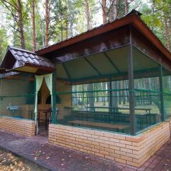 Фото Отель Лесной