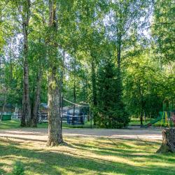 Дом с видом на лес гостиная со спальней (40 кв.м)