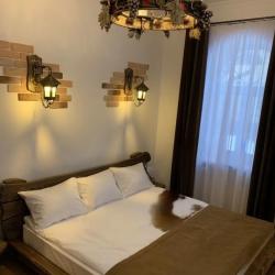 Фото Отель Шишкин Лес