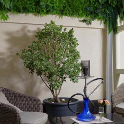 Фото Отель Garuda Boutique hotel (Гаруда Бутик)
