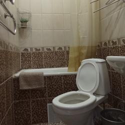 Фото Отель Лотос гостевой Дом