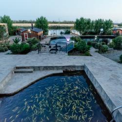 Фото Отель Экопарк Карелия