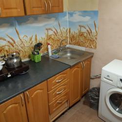 Фото Апартаменты на проспекте Гагарина 2-я линия 3