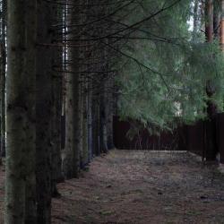 Фото Отель Иванова дача