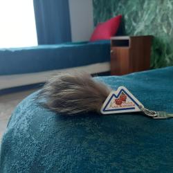 Фото Отель Камчатдар