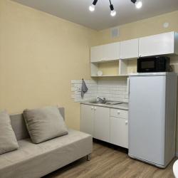 1-комнатные апартаменты студия улица Челюскинцев, 80В