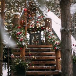 Фото Отель Хвойная хижина