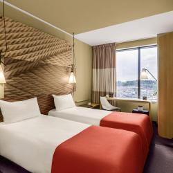 Фото Отель Ibis Moscow Domodedovo Airport (Ибис Домодедово)